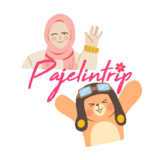 Pajelintrip
